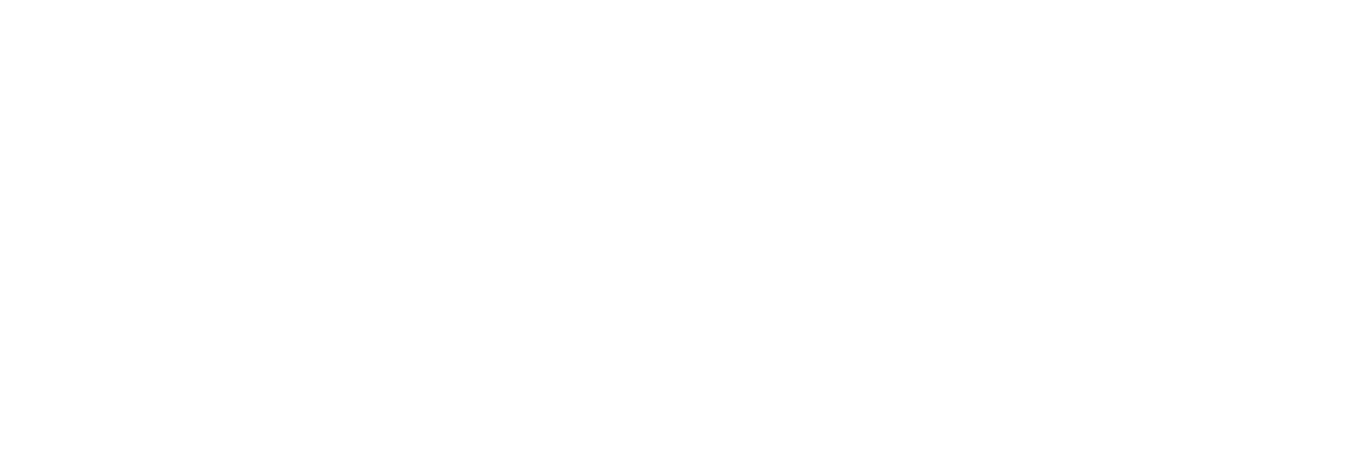 Lone Star Drills logo